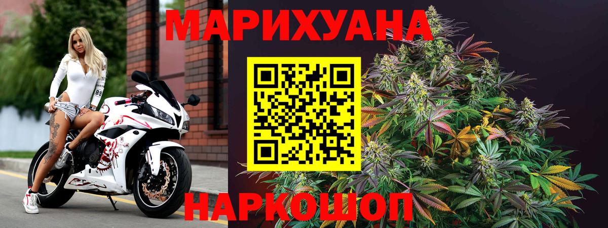 Каннабис OG Kush Егорьевск